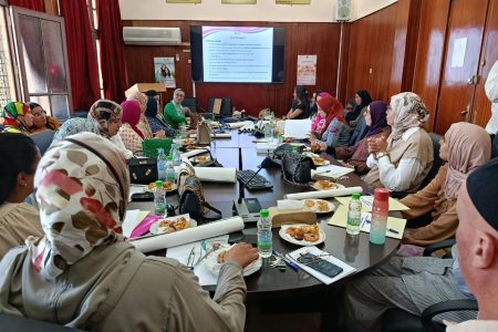 إقليم مولاي يعقوب: دورة تكوينية في مجال الكشف المبكر عن سرطان الثدي وسرطان عنق الرحم