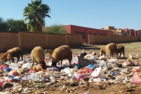 كارثة بيئية تهدّد تلاميذ مدرسة الإخوة بطريق آيت موسى بجماعة المعازيز: روائح كريهة ،حشرات، ودخان يحاصر المؤسسة!