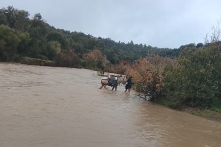 محاصرون بالوادي ومحرومون من الإنارة: دوار القبة بجماعة البرارحة في عزلة خانقة بين تازة وتاونات، نداء استغاثة إلى جلالة الملك محمد السادس