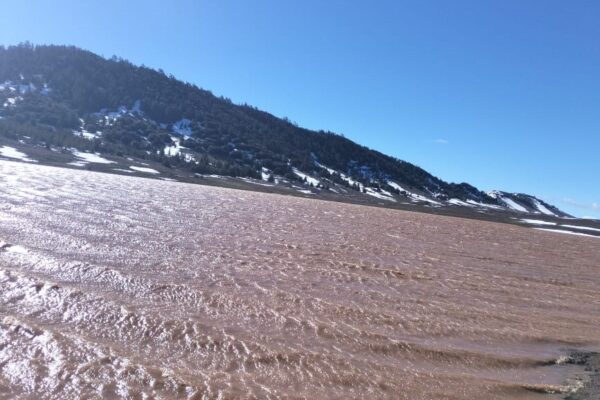 بحيرة تيمحضيت تعود إلى الحياة بعد سنوات من الجفاف