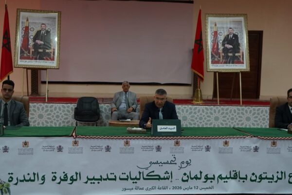 تشخيص واقع قطاع الزيتون بإقليم بولمان خلال يوم دراسي بمشاركة فاعلين محليين