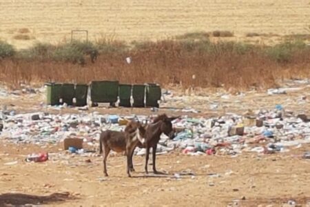 المعازيز إقليم الخميسات تراكم النفايات وإحراق الأزبال يثيران غضب الساكنة ومطالب بتدخل عامل إقليم الخميسات