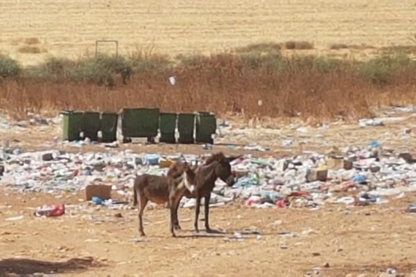 المعازيز إقليم الخميسات تراكم النفايات وإحراق الأزبال يثيران غضب الساكنة ومطالب بتدخل عامل إقليم الخميسات